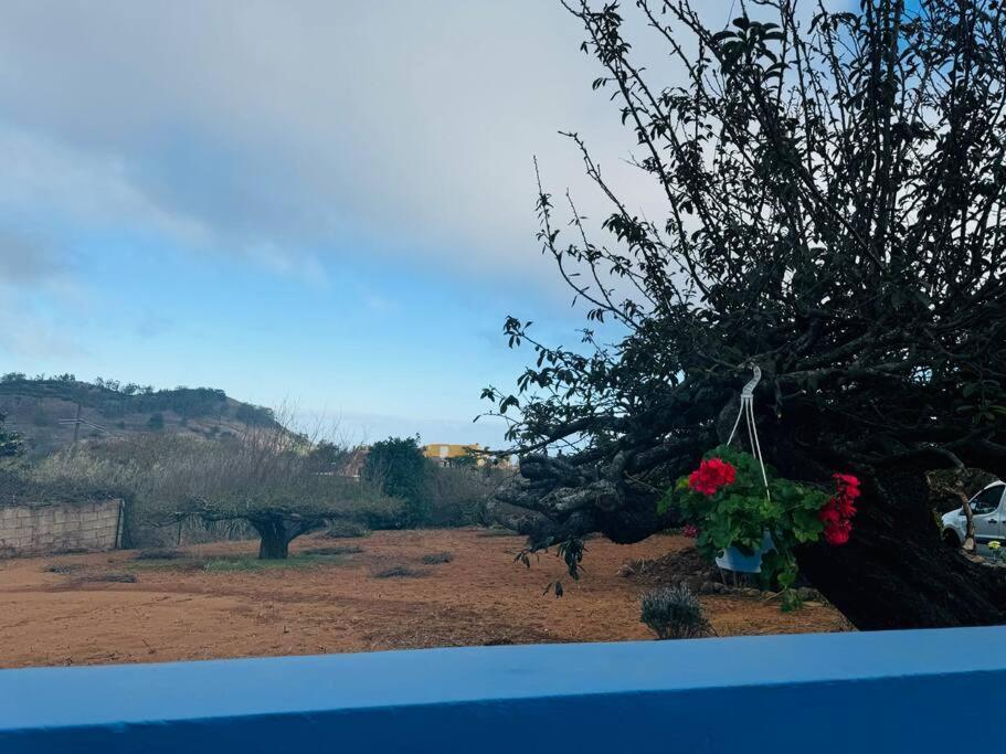 הוילה La Esperanza  La Casita De Rosi מראה חיצוני תמונה